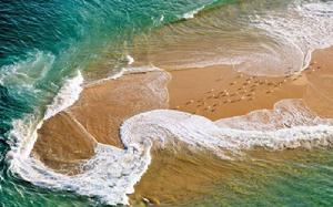 東芝L600-88R 東芝L600-88R