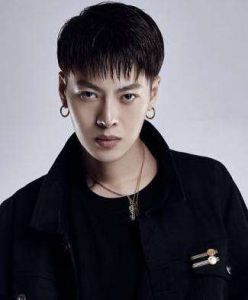 張航[中國內地流行樂男歌手]