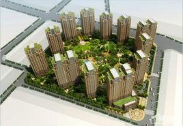 心海金源 心海金源