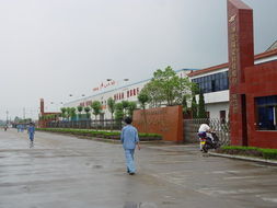 福星科技 福星科技