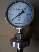 隔膜壓力表