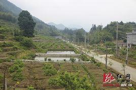 上坳頭村 上坳頭村