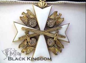 帶劍三級德意志雄鷹勳章，吊環銘刻900和21