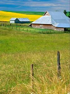 《草原上的小屋》