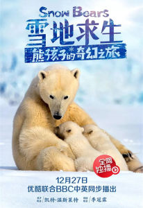 雪地求生 雪地求生