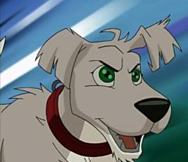 斯格魯夫 斯格魯夫