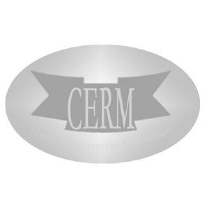 註冊企業風險管理師 註冊企業風險管理師