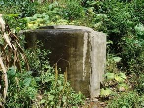 楠木自然村 楠木自然村