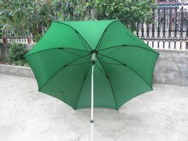 釣魚傘 釣魚傘