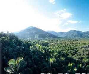 禮紀青皮林自然保護區