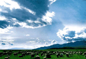 紅池壩風景區 紅池壩風景區