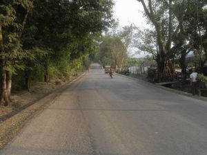 秤桿河村 秤桿河村