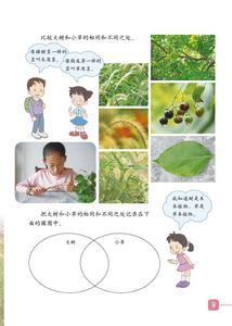 《大樹和小草》