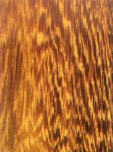 雞翅木紋理似羽毛