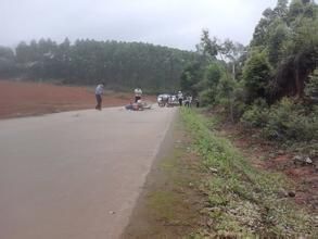 麗光華僑農場 麗光華僑農場