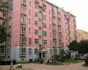 文雅新世界 文雅新世界