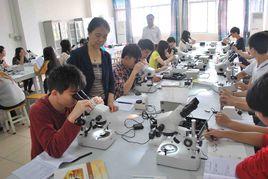 珠寶首飾工藝及鑑定 珠寶首飾工藝及鑑定