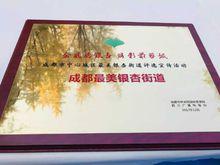 2017年華陽街辦榮獲“成都市最美街道”稱號