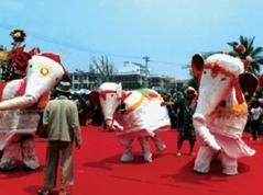 傣族白象舞