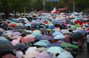 近萬名市民冒雨參加活動。