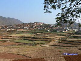 攀枝花村[雲南省石屏縣異龍鎮攀枝花村]