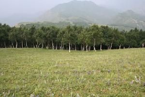 東靈山生態旅遊區