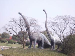 馬門溪龍 馬門溪龍