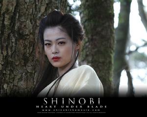 忍shinobi[日本電影]