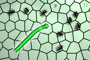貪吃小綠蟲 貪吃小綠蟲