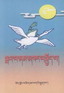 青蛙上天 青蛙上天