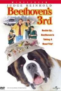 無敵當家第三代