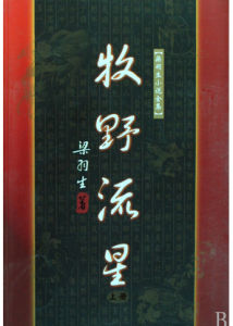 牧野流星 牧野流星