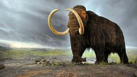 滅絕[某支生物譜系的演化終結或整支譜系的消亡]