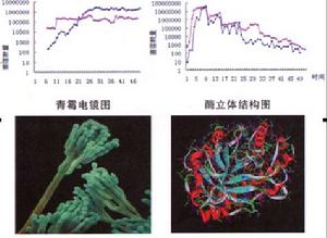 微生態環境Environment