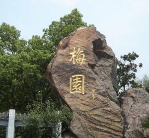 青島梅園景區 青島梅園景區