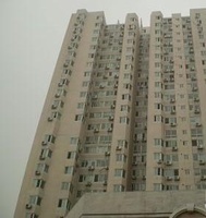 中鑫國際 中鑫國際