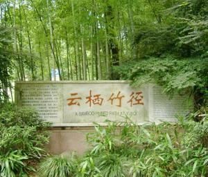 雲棲竹徑 雲棲竹徑