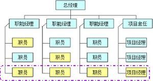 平衡矩陣型組織 平衡矩陣型組織