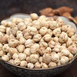 白蔻[芭蕉目姜科植物]