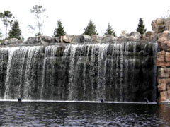 黑龍江太陽島風景區