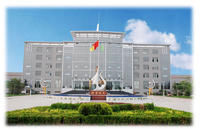 山西振東實業(集團)有限公司 山西振東實業(集團)有限公司