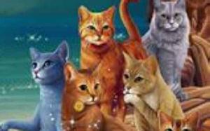 貓武士族群 貓武士族群