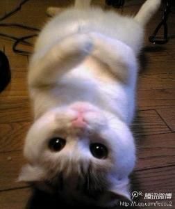 忙忙碌碌 忙忙碌碌