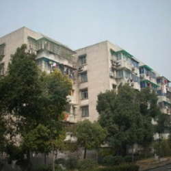 大關東八苑 大關東八苑