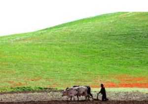 朱茲詹省 朱茲詹省