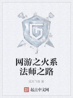 網遊之火系法師之路 網遊之火系法師之路