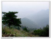 萊蕪香山風光與植物