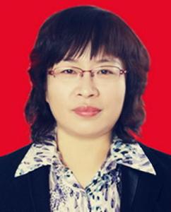 王洪霞[山東省平原縣委書記]