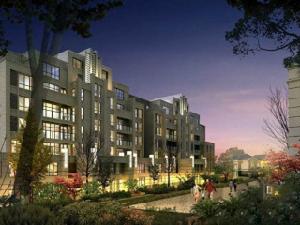 融僑城花樣派 融僑城花樣派