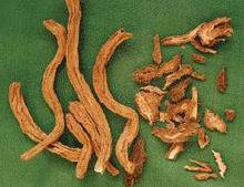 百部[百部科植物]